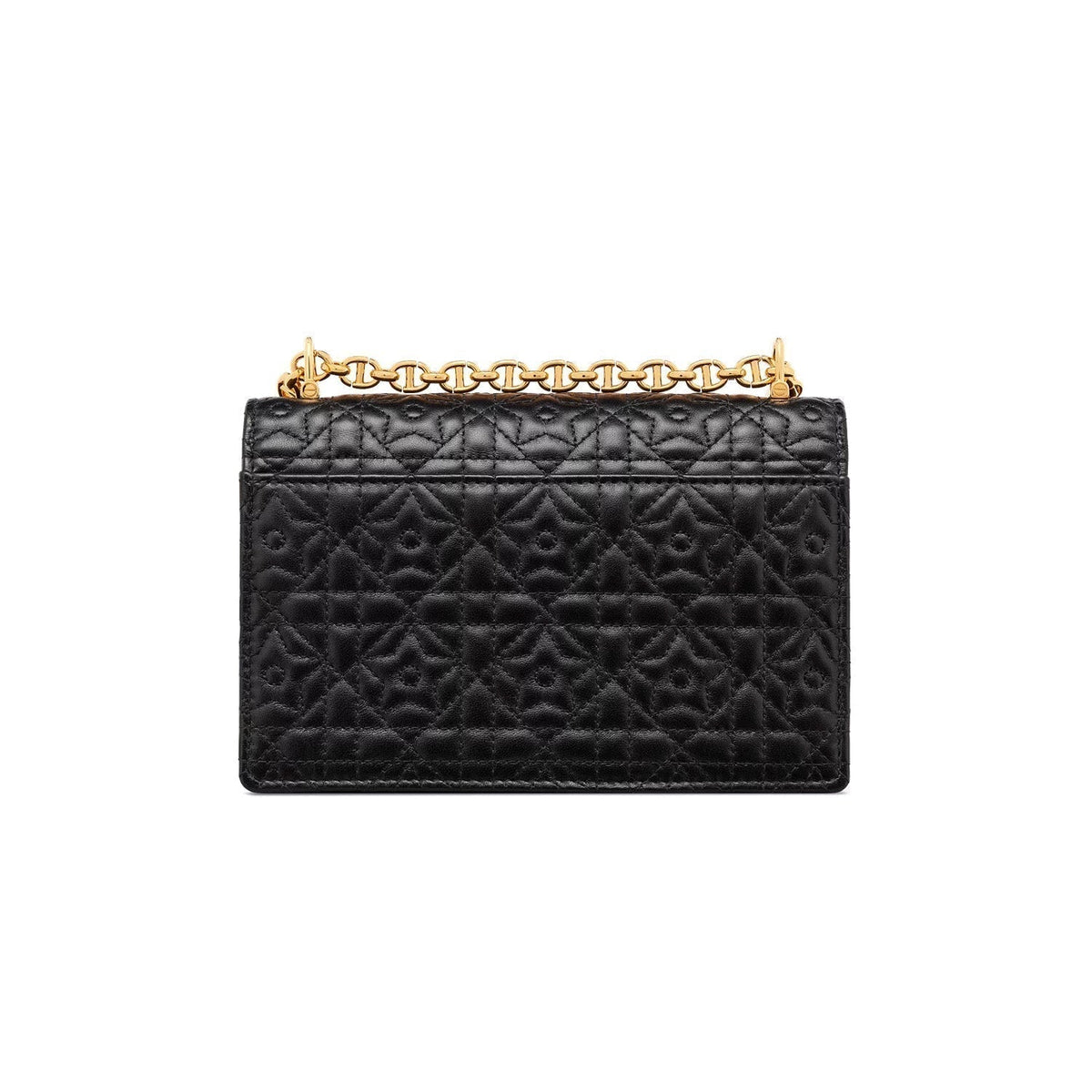 Dior Twist Chain Leather Handbag